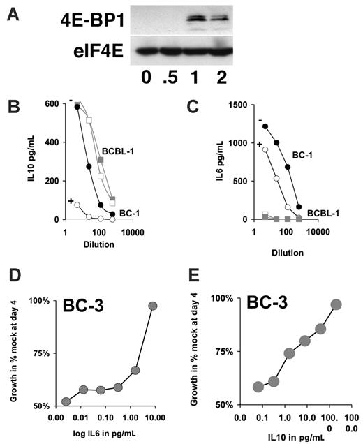 Figure 5. IL-6 and IL-10 counteract the rapamycin-induced growth arrest. (A) Western blot analysis of 4E-BP1 and eIF4E after immunoprecipitation with 7methyl-GTP Sepharose. Samples are drawn at indicated times after exposure of BC-3 cells to 50 nM rapamycin. (B-C) Shown is the concentrations in picogram per milliliter for the indicated cytokine in the vertical axis and dilution of spent medium of 4 days after addition of rapamycin (open symbols) or vehicle (closed symbol) on the horizontal axis for the cell lines BC-1 (circles) and BCBL-1 (squares) as determined by ELISA. (D-E) Relative growth in percentage after 4-day culture in 50 nM rapamycin and the indicated concentrations of either IL-6 or IL-10 as determined by MTT assay.