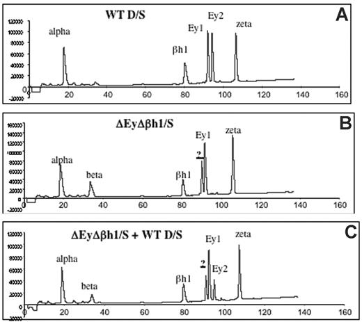 Figure 2. HPLC assays identify a new peak in peripheral primitive erythroid cells from ΔEyΔβh1 embryos. (A) HPLC of cell lysate of e10.5 circulating blood from wild-type D/S embryo shows identified elution peaks from the wild-type D and S alleles. Ey1 is from the S allele, and Ey2 is from the D allele. The βh1 peak includes protein from D and S, and alpha and zeta are α-like globin chains. (B) HPLC of cell lysate of d10.5 circulating blood from ΔEyΔβh1/S embryo. Identified elution peaks include alpha and zeta and from the S allele, Ey1, and βh1. The Ey2 peak from D is missing. A peak represents β-major and β-minor (beta), and a new peak (?) represents a novel β-like globin chain. (C) HPLC of cell lysate of mixed e10.5 circulating blood from wild-type D/S and ΔEyΔβh1/S embryos shows that the new peak (?) is distinguished from Ey1 and Ey2.