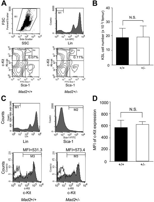 Figure 3. Absolute numbers of KSL cells and expression of c-Kit on Sca1+lin− cells. Absolute numbers of KSL cells in BM. (A) Representative cytograms of forward scatter (FSC) versus side scatter (SSC), lineage marker (top panels), and Sca-1 versus c-Kit (bottom panels) for measurements of percentages of KSL cells in Mad2+/+ and Mad2+/− BM cells are shown. The percentage of c-Kit+Sca-1+ cells (R4) was analyzed on gated lin− cells (M1 + R1). Numbers indicate the percentage of KSL cells. (B) Data show KSL cell numbers per femur. Error bars indicate mean ± SD of measurements of 6 mice each. (C) Representative histograms of lineage marker and Sca-1 (top panels) for gating the Sca-1+lin− cell population, and c-Kit expression (bottom panels) are shown. c-Kit expression was analyzed on gated lin− cells (M1) and Sca-1+ cells (M2). The shaded curves show staining with anti–c-Kit antibody; the open curves show the isotype control (bottom panels). Numbers indicate the mean fluorescence intensity (MFI) of c-Kit. (D) Expression level of c-Kit on Sca-1+lin− cells in BM. Error bars indicate mean ± SD of measurements of 4 mice each. NS indicates not significant.