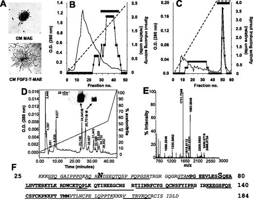 Figure 1. Drm/gremlin purification from the CM of FGF2-T-MAE cells. (A) FGF2-T-MAE-cell CM (bottom), but not MAE-cell CM (top), stimulates sprouting of MAE-cell aggregates in fibrin gel. This assay was used to follow the purification of FGF2-T-MAE-cell CM by cation exchange (B) and heparin-Sepharose (C) chromatography (horizontal bar, pooled bioactive fractions; diagonal dashed lines, NaCl gradient), and by reverse-phase HPLC (D). Bioactive HPLC peaks (*,**) were probed with anti-Drm/gremlin antibodies in a Western blot (D, inset) and identified by MALDI-ToF peptide mass fingerprinting (peak * in panel E; peak **, not shown). (F) Amino acid sequence of Drm/gremlin. Tryptic (underlined) or CNBr (italic) digestion peptides were sequenced by nano-ESI-MS/MS. N-glycosylation (N) and Ser-phosphorylation (S) sites are highlighted.