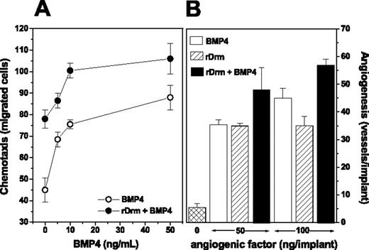 Figure 5. Effect of BMP4 on the angiogenic activity of Drm/gremlin. (A) The chemotactic activity of a suboptimal concentration of rDrm (5.0 ng/mL) was tested on MAE cells in a Boyden chamber assay in the presence of increasing concentrations of BMP4 (•); in parallel, the chemotactic activity of BMP4 alone was tested on the same cells (○). (B) Chick embryo CAM implants were loaded with vehicle, BMP4, rDrm, or rDrm plus BMP4 (both molecules were tested alone or in combination at 50 or 100 ng/implant). After 4 days, blood vessels converging versus the implant were counted. Data are expressed as mean ± SD.