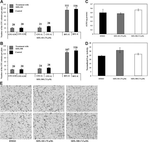 Figure 5. Neither SDX-101 nor SDX-308 shows toxic effects on hematopoietic progenitors or affects osteoblast differentiation. (A-B) CD34+ cells were used for standard colony-formation assays using Methocult GF H4434 (Stem Cell Technologies, Vancouver, BC, Canada). The assay was performed in the presence of SDX-101 (75 μM) (⊡, top), SDX-308 (7.5 μM) (⊡, bottom), or DMSO (0.1%) (▪) as control. Numbers of CFU colonies formed were quantified under an inverted microscope after 14 days. Formation and relative distribution of BFU-E, CFU-M, and CFU-GM colonies were evaluated. Images were obtained using an Olympus microscope (numeric aperture 0.40, 10× magnification), and software (MagnaFire 4.1, Optronics). Data shown are the mean ± SD of triplicates of colony-formation assay. (C) ALP activity and (D) Og2 promoter activity: MC-42 cells were plated at a density of 5 × 104 cells/cm2 in 35-mm plates and were cultured in ascorbic acid (50 μg/mL) containing α-MEM for 15 days and treated with the indicated concentration of SDX-101, SDX-308, or volume-matched vehicle for 24 hours. Cells were then harvested for ALP assay and luciferase assay. ALP activity and luciferase activity were normalized into total protein. (E) Mineralization. MC-42 cells were grown as described in Figure 4C-D for 15 days. Inorganic phosphate was then added to a final concentration of 5.0 mM in the presence or absence of SDX-101, SDX-308, or vehicle for 48 hours. Samples were then stained using the von Kossa method. Images were obtained by direct scanning of the mineralization dish using the ScanMaker 9800Xl (Microtek International), and the randomly selected representative areas were shown.