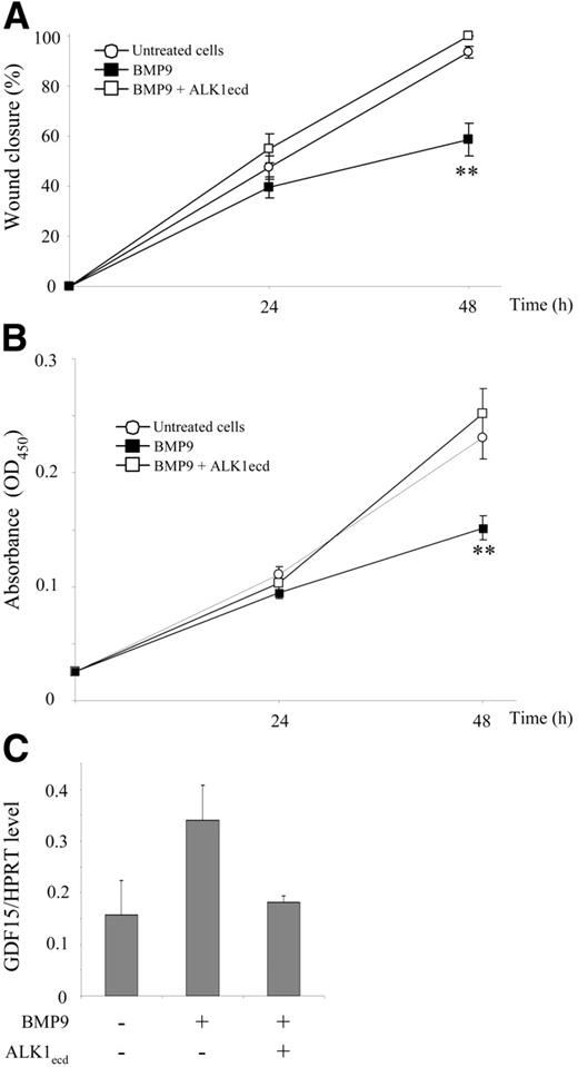 Figure 5. BMP9 inhibits HMVEC-d cell migration and cell growth, and induces GDF15 gene expression. (A) HMVEC-d monolayers were scratched to create a wound and incubated in low serum concentration (0.5% FBS) in the presence or absence of BMP9 (10 ng/mL) alone or together with ALK1ecd (15-fold molar excess over BMP9 concentration). At time 0, 24, and 48 hours after wounding, the cells were observed by phase-contrast microscopy and photographed. Results from 1 representative experiment of 5 are presented as the percent of wound closure at different times after wounding ± SE. (B) HMVEC-d's were treated for 24 hours and 48 hours with BMP9 (10 ng/mL) alone or together with ALK1ecd (15-fold molar excess over BMP9 concentration) in 5% FBS. The quantity of viable cells was determined using the WST-1 assay. Results from 1 representative experiment of 5 are expressed as absorbance (OD450) ± SE. (C) HMVEC-d's were treated for 24 hours in the presence or absence of BMP9 (10 ng/mL) alone or together with ALK1ecd (15-fold molar excess over BMP9 concentration). mRNAs were then extracted and quantitative RT-PCR was performed for GDF15 and HPRT. Results are expressed as level of GDF15/level of HPRT gene expression. Data show 1 representative experiment ± SD of 3. (A-B)**P < .01.