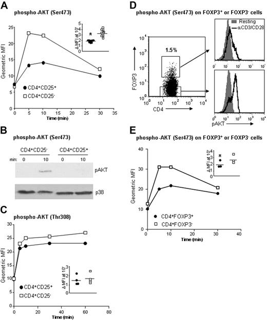 Figure 2. Human CD4+CD25+ Treg cells have a reduced capacity to phosphorylate AKT following TCR stimulation. (A) Ex vivo CD4+ T cells were stimulated with crosslinked αCD3/CD28 mAbs for the indicated times and stained for CD4 and CD25, and geometric MFIs of cells stained with anti–phospho-AKT (Ser473) were determined in CD4+CD25high or CD4+CD25− T cells. (B) More than 90% pure CD4+CD25high and CD4+CD25− T cells were left unstimulated or stimulated with αCD3/CD28 mAbs for 10 minutes, lysed, and analyzed by Western blotting for amounts of AKT (Ser473) phosphorylation. Blots were reprobed with anti-p38 Abs to ensure equivalency of loading. (C) Ex vivo CD4+ T cells were stimulated and analyzed as in panel A, and MFIs following staining with anti–phospho-AKT (Thr308) were determined. (D-E) Ex vivo CD4+ T cells were stimulated as in panel A and then stained for CD4, FOXP3, and phospho-AKT (Ser473). (D) Histograms depicting levels of phospho-AKT were generated by gating on subsets of CD4+FOXP3+ or CD4+FOXP3− T cells, and (E) MFIs of cells stained with anti–phospho-AKT (Ser473) were determined in CD4+FOXP3+ or CD4+FOXP3− T cells. Panels A, C, and E represent a single experiment with the inset depicting the fold change in MFI from resting to activation (10 minutes) for all experiments, and with horizontal bars indicating means and asterisks indicating significance. For panels B and D, a single representative example of 3 experiments performed is depicted.