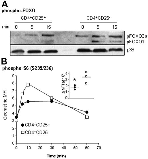 Figure 3. Diminished AKT phosphorylation in CD4+CD25+ Treg cells results in decreased activation of downstream effectors. (A) More than 90% pure CD4+CD25high and CD4+CD25− T cells were left unstimulated or stimulated with αCD3/CD28 mAbs for the indicated times, lysed, and analyzed by Western blotting for amounts of phosphorylated FOXO1 and FOXO3a. Blots were reprobed with anti-p38 Abs to ensure equivalency of loading. Shown is a representative experiment of 3 performed. (B) Ex vivo CD4+ T cells were stimulated with αCD3/CD28 Abs for the indicated times, and MFIs following staining with anti–phospho-S6 (Ser235/236) were determined in CD4+CD25high or CD4+CD25− T cells. A single representative experiment is depicted, and the inset represents the fold change in MFI from resting to activation (10 minutes) for each separate experiment, with horizontal bars indicating means and the asterisk indicating significance.