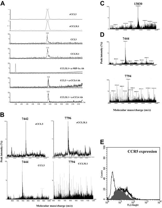 Figure 3. MS analysis of MIP-1α isoforms and their interaction with CCR5 coreceptor. (A) Extract ion LC-ESI-MS chromatograms of CCL3 and CCL3L1 from recombinant isoforms mixture and from supernatants of PBMCs of HTLV-2/HIV-1MEU subjects. Retention peaks of the isoforms were extracted from chromatogram by processing data through known ions representative of MIP-1α isoforms and compared with those of rCCL3and rCCL3L1. In addition, MIP-1α cation exchange-positive fractions from HTLV-2/HIV-1MEU persons were immunoprecipitated with anti–MIP-1α or anti-CCL4 polyclonal Ab before MS analysis. (B) Deconvolution spectra of CCL3 and CCL3L1 isoforms from recombinant isoform mixture and from HTLV-2/HIV-1MEU subjects. Retention MIP-1α isoform peaks were subjected to MS analysis. The multiple-charged spectra represent the relative ion abundance of the various isoform charge states according to mass-charge ratio (m/z). (C) MS analysis of MIP-1α isolated from immunoreactive fractions of PBMCs of HTLV-2–infected persons eluted using physiologic conditions. (D) MS analysis of MIP-1α secreted by unstimulated PBMCs from HTLV-2/HIV-1–coinfected LTNPs. (E) Flow cytometric analysis of CCR5 expression on CCL3/CCL3L1 binding. The thin black line represents the background-negative control; thick black line, Hos-CCR5 cells (MFI = 19.97); gray line, Hos-CCR5 cells incubated with purified MIP-1α forms (MFI = 13.14).