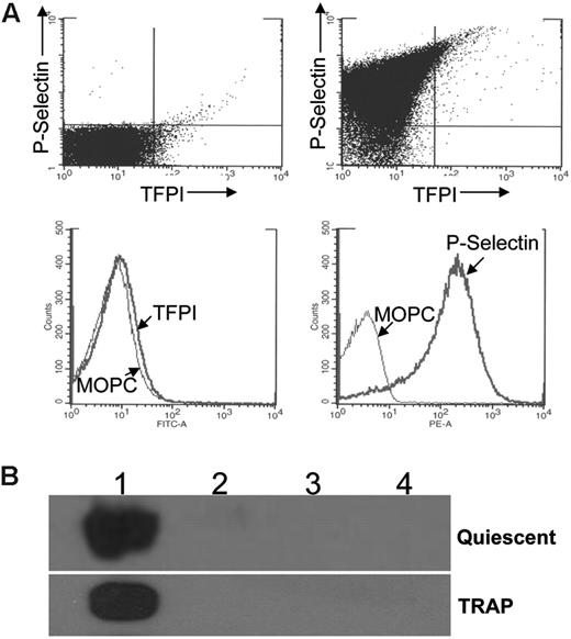 Figure 3. Stimulation of platelets with TRAP does not cause surface expression or secretion of TFPI. (A) Flow cytometry analysis of platelets stained for TFPI and P-selectin. Quiescent platelets are in the upper left panel. Platelets stimulated with 8 μM TRAP are in the other 3 panels. Dot blot analysis of double-stained cells following activation indicates that 89% of the platelets have surface P-selectin, whereas less than 1% has surface TFPI. (B) Western blot analysis of quiescent and TRAP (8 μM) activated platelets subjected to differential centrifugation. Lane 1, 1500g pellet; lane 2, 10 000g pellet; lane 3, 200 000g pellet; lane 4, 200 000g supernatant.
