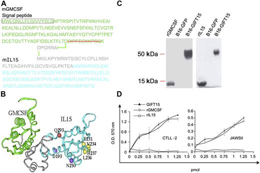 Figure 1. Design and expression of GIFT15 fusokine. (A) Schematic representation of the GIFT15 aa sequence. (B) The predicted structural model of GIFT15. GMCSF is shown in green ribbon; intercytokine bridge, in gray ribbon; and IL-15, in cyan ribbon. The IL-15 residues experimentally identified to interact with IL-15Rα, IL-2Rβ, and IL-2Rγ are shown by yellow, purple, and red balls, respectively. (C) Denaturing immunoblot using conditioned media (CM) from genetically-modified B16F0 expressing the green fluorescent protein (GFP) or GIFT15 probed with polyclonal goat anti–IL-15 or anti-GMCSF antibodies. rIL-15 and rGMCSF were used as positive controls. (D) Biologic activity of GIFT15. To test the bioactivity of GIFT15, proliferation assays were performed by MTT incorporation using CTLL-2 and JAWSII cell line concentrations (CTLL-2, P > .05 between GIFT15 and IL-15; JAWSII, P > .05 between GIFT15 and GMCSF). Results are shown as mean of triplicates ± SEM of 1 representative experiment of 3.