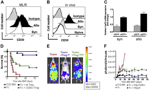 Figure 1. Surface expression of CD30 increases upon allogeneic stimulation in vitro and in vivo. CD30 deficiency affects Treg-mediated GvHD protection. (A) CD4+CD25high FoxP3+ cells (H-2b) were coincubated with CD11c+ APCs derived from syngeneic C57B/6 mice (gray open histogram, MFI: 67.1) or allogeneic Balb/c mice (black solid histogram, MFI: 209.2) for 96 hours. The gray solid histogram represents cells stained with isotype control Ab. Cells were gated on CD4+FoxP3+. (B) eGFP-labeled Treg cells (CD4+CD25highH-2b) were isolated from secondary lymphoid organs on day 4 after transfer into C57B/6 mice (syngeneic, light gray histogram) or Balb/c mice (allogeneic, black solid histogram). Recipients were given 5 × 106 TCD-BM (H-2b) after lethal irradiation with 800 cGy. Additionally, 2.5 × 105 eGFP+ Treg cells (day 0) plus 5 × 105 CD4+/CD8+ (1:4) T cells (day +2) were given (both H-2b). Histograms represent the mean fluorescence intensity for cells that are gated on eGFP+ cells. The gray open histogram and the dark gray filled histogram represent naive Treg cells (unmanipulated from 6-week-old mice) and isotype control–stained Treg cells, respectively. CD30 expression is increased after allogeneic compared with syngeneic antigen exposure (MFI black solid versus light gray histogram, P = .003). (C) Relative Foxp3 mRNA expression level was determined by quantitative real-time PCR in eGFP-positive versus -negative cells. The eGFP+ population represents the transferred Treg cells after syngeneic or allogeneic transplantation as indicated below the bar pairs. Expression was normalized to GAPDH. The negative controls are donor derived (CD4H-2b) eGFP− cells (gray bars). Error bars indicate SD from the mean. (D) Survival of recipients given 5 × 106 TCD-BM cells (H-2b) after lethal irradiation with 800 cGy. Additionally, 2.5 × 105 wt or CD30−/− Treg cells (day 0) plus 5 × 105 CD4+/CD8+ (1:4) T cells (day +2) were given (both H-2b). Survival of mice receiving TCD-BM (▵, n = 15), with Tconv cells (□, n = 15), with Tconv cells and wt Treg cells (▪, n = 14), and with Tconv cells and CD30−/− Treg cells (○, n = 14). Survival of Balb/c recipients is significantly lower when Treg cells lack CD30 compared with wt Treg cells (○ versus ▪, P = .002). (E) Proliferation of luc+ Tconv cells (left column) is reduced by cotransfer of Treg cells (middle column) and to a lesser extent by Treg cells derived from CD30−/− donors (right column) as depicted for day 7 after BMT. (F) Signal intensity of luc+ Tconv cells as quantified in photons per mouse per second over total body area for the indicated group. TCD-BM (▵, n = 15), with Tconv cells (□, n = 15), with Tconv cells and wt Treg cells (▪, n = 14), and with Tconv cells and CD30−/− Treg cells (○, n = 14). Signal intensity is significantly higher in animals receiving CD30−/− Treg cells compared with wt Treg cells (○ versus ▪, P = .007, days 6-25). Data are pooled from 2 representative experiments.