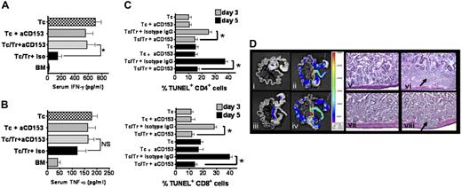 Figure 3. Blockade of CD153 reverses Treg-mediated protection from accumulation of proinflammatory cytokines, apoptosis in T effector cells, and GvHD histopathology of the GIT. (A-B) Serum was collected on day 7 after transplantation from Balb/c recipients of TCD-BM plus Tconv cells (n = 17), TCD-BM plus Tconv cells and CD153 blocking Ab (n = 12), TCD-BM plus Tconv cells and Treg cells and CD153 blocking Ab (n = 18), TCD-BM plus Tconv cells and Treg cells and isotype Ab (n = 18), or TCD-BM alone (n = 17); *P < .05. Blockade of CD153 in the presence of Treg cells leads to increased IFN-γ (A) and TNF-α (B) levels that reach significance for IFN-γ when compared with Treg cells plus isotype IgG. Data are pooled from 3 independent experiments. (C) The diagrams present results from TUNEL staining of splenic donor-type (H-2kq) CD4 or CD8 cells isolated on day 3 or day 5 after BMT from Balb/c mice receiving TCD-BM plus Tconv cells, TCD-BM plus Tconv cells and CD153 blocking Ab (aCD153), TCD-BM plus Tconv cells and Treg cells and isotype IgG, and TCD-BM plus Tconv cells and Treg cells and CD153 blocking Ab, as indicated for the respective bar. Data are pooled from 3 independent experiments with a total of 9 mice per group (*P < .05). Error bars indicate SD from the mean. (D) The left panel (i-iv) depicts expansion of luc+ Tconv cells on day 8 after BMT in the GIT and in the mLNs as assessed by ex vivo BLI. (i) Background signal in the GIT of animals having received only TCD-BM without any luc+ cells. Proliferation of Tconv cells in the mLN and the GIT (ii) is reduced by cotransfer of Treg cells in the presence of isotype IgG (iii). Addition of anti-CD153 blocking Ab reduces the protective effect of Treg cells (iv). The right panel shows representative histologic sections of the bowel corresponding to the groups in the left panel. Significant T-cell infiltration (arrow) is found in animals receiving Tconv cells only (vi) or Tconv cells and Treg cells and anti-CD153 blocking Ab (viii).