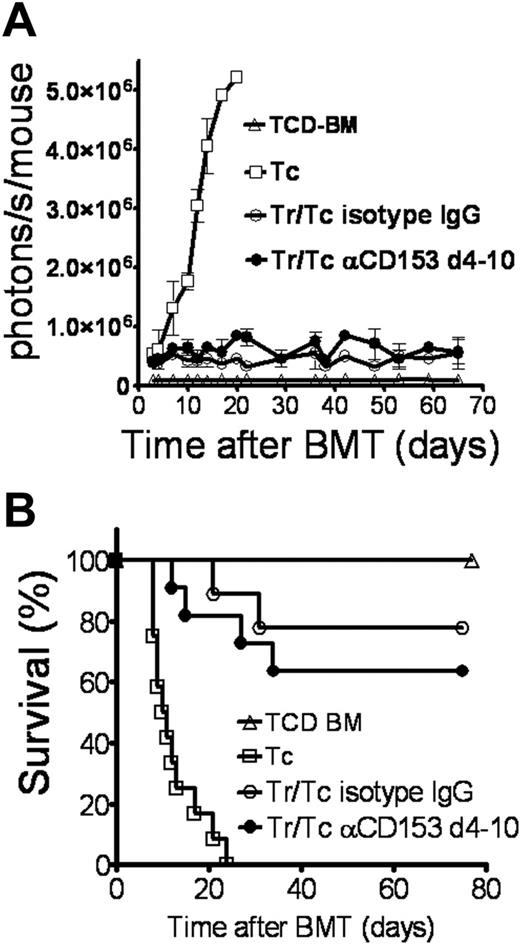 Figure 4. Treg-cell suppressor function is maintained when CD153 (CD30L) is blocked in the late phase after transplantation. Recipients underwent transplantation as described in “Materials and methods” for the FVB/N→Balb/c combination. To block the CD30/CD153 interaction in the late phase of Treg-cell expansion, the Abs (each 0.1 mg) were injected on days 4, 6, 8, and 10. Data from 3 independent experiments are combined. (A) TCD-BM (▵, n = 15), with Tconv cells (□, n = 15), with Tconv cells and Treg cells and isotype IgG (○, n = 12), and with Tconv cells and Treg cells and anti-CD153 blocking Ab (•, n = 12). Signal intensity is not significantly different in animals receiving Tconv cells and Treg cells and anti-CD153 blocking Ab compared with isotype IgG (• versus ○, NS). Error bars indicate SD from the mean. (B) TCD-BM (▵, n = 15), with Tconv cells (□, n = 15), with Tconv cells and Treg cells and isotype IgG (○, n = 12), and with Tconv cells and Treg cells and late anti-CD153 blocking Ab (•, n = 12).