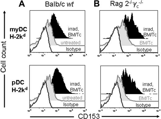 Figure 5. Irradiation increases CD153 expression on myDCs and pDCs after BMT. The surface marker CD153 was measured by FACS analysis on different dendritic cell subsets in irradiated compared with nonirradiated wt Balb/c (A) or Rag2−/− γc−/− Balb/c (B) recipients. Where indicated, DCs were derived from animals that received TCD-BM and T cells as described for the C57B/6→Balb/c model. Recipient-type myeloid DCs (CD11c+CD11b+Gr-1−) or plasmacytoid DCs (CD11c+B220+CD11b−) derived from the spleen on day 3 after BMT display differential CD153 surface expression when isolated from untreated Balb/c mice or nonirradiated Rag2−/− γc−/− mice that received a transplant of TCD-BM and T cells. Grey open histogram: isotype IgG. CD153 expression on myDCs from irradiated compared with nonirradiated Balb/c mice (A) (MFI: 110 versus 24, P < .05) or Rag2−/− γc−/− mice (B) (MFI: 195 versus 42, P < .05). CD153 expression on pDCs from irradiated compared with nonirradiated Balb/c mice (A) (MFI: 182 versus 26, P < .05) or Rag2−/− γc−/− mice (B) (MFI: 137 versus 21, P < .05).