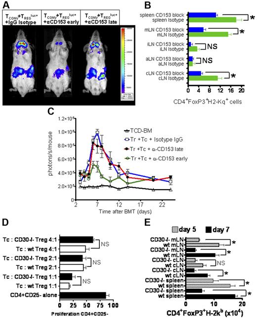 Figure 6. Expansion of luciferase-labeled Treg cells is reduced when CD153 is blocked early after transplantation. (A) Distribution and expansion of luc+ donor Treg cells in Balb/c mice (H-2kd) receiving Tconv cells and Treg cells (both H-2kq) and isotype IgG Ab or Tconv cells and Treg cells along with anti-CD153 blocking Ab as shown for representative animals on day 7 after BMT. Expansion of luc+ Treg cells (first animal) is reduced when the CD30/CD153 interaction is blocked in the early (middle animal) but not in the late (right animal) phase after adoptive transfer. Early blockade represents days −2, 0, 2, and 4, and late phase represents days 4, 6, 8, and 10 after BMT. (B) The number of donor-derived Treg cells (CD4+FoxP3+H-2Kq+) per high-power field was determined in 5 representative areas and plotted for the respective secondary lymphoid organ recovered from Balb/c recipients (n = 5) on day 10 after adoptive transfer of TCD-BM and Tconv cells plus Treg cells. *P < .05, animals receiving anti-CD153 Ab (blue bars) or isotype IgG (green bars) both in the early phase. (C) Whole-body photons derived from luc+ Treg cells expanding in Balb/c recipients at serial time points. TCD-BM (▵, n = 10), with Tconv cells and Treg cells and isotype IgG (□, n = 10), with Tconv cells and Treg cells plus early anti-CD153 blocking Ab (○, n = 10), and with Tconv cells and Treg cells plus late anti-CD153 blocking Ab (•, n = 10). Expansion of luc+ Treg cells is significantly reduced in the presence of the anti-CD153 blocking Ab during the early expansion phase compared with isotype IgG (○ versus □, P = .007) or late blockade (○ versus •, P = .008). Data are pooled from 3 independent experiments. (D) Treg cells (CD4+CD25highH-2kb+) from either wild-type (open bars) or CD30−/− (solid black bars) C57B/6 mice were incubated with CFSE-labeled CD4+CD25− T cells (H-2kb, Thy-1.1+) and γ-irradiated (30 Gy) APCs (CD11c+H-2kd+). To measure T-cell proliferation, Thy-1.1+ cells were analyzed by FACS after 72 hours. The bars represent the percentage of proliferating CD4+Thy 1.1+CFSE+ cells. One representative experiment of 3 is presented. (E) On days 5 and 7 after BMT, lymphoid organs were removed from recipients of wt or CD30−/− Treg cells and total cells per organ were counted in a single-cell suspension. Subsequent analysis of the resulting cell suspensions by FACS provided the percentages based on which the absolute cell numbers were calculated. *P < .05. Data are pooled from 2 independent experiments with 6 animals per group and time point. Error bars indicate SD from the mean.
