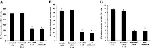 Figure 3. Reduction of Ape1 expression by siRNA abrogates primitive and definitive hematopoiesis. (A) Cells derived from day-6 CCE EBs were transfected with either Ape1 siRNA or scrambled siRNA, and plated for primitive progenitor assays (Ery-P). (B) Cells derived from day-10 EBs were transfected with 25 nM or 50 nM Ape1 siRNA1, or scrambled siRNA, and plated for either definitive erythroid progenitor assays (Ery-D) or (C) granulocyte-macrophage colony assays (CFU-GM). At both 25 nM and 50 nM Ape1 siRNA in all assays conducted, significantly fewer progenitors developed. (A-C) *P < .05 comparing cells transfected with Ape1 siRNA to that of scrambled siRNA for all progenitor assays conducted. Data represent the mean ± SD for 3 experiments.