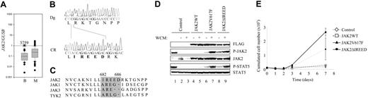 Figure 1. A mutated JAK2 is overexpressed in a BCP-ALL sample and transforms Ba/F3 cells. (A) Quantitative RT-PCR analysis of JAK2 expression in leukemic samples. Human Taqman sets were located in the 3′ region of the tyrosine kinase domain, conserved in all JAK2 gene rearrangements. JAK2 primers and probes were forward (GTGTTCCATTTGATAGAACTTTTGAAGA), probe (5′-FAM-AGATTACCAAGACCAGATGGATGCCCAGA-TAMRA-3′), and reverse (ATTATTGTTCCAGCATTCTGTCATGA). The quality of the cDNA was evaluated using GUSB expression as described.16 The relative expression level of tyrosine kinase genes was calculated using the ΔCt calculation. The ratio of gene expression relative to the ubiquitously expressed gene GUSB was calculated for each sample. Two groups of samples are compared: BCP-ALL (n = 26) and AML (n = 61). Three ill-classified acute leukemia samples are not shown. Results are presented as a box plot graph using a logarithmic scale. The boundary of the box closest to zero indicates the 25th percentile, a line within the box marks the median, and the boundary of the box farthest from zero indicates the 75th percentile. Narrow horizontal bars above and below the box indicate the 90th and 10th percentiles. Outliers appear as dots, and the UPN3759 sample is shown. (B) Sequence analysis of the JH2 domain JAK2ΔIREED mutation in the patient with DS with BCP-ALL showing a combined deletion of 16 nucleotides and the addition of 1 nucleotide. Sequence shown was obtained from DNA at diagnosis (Dg; top) and at complete remission (CR; bottom). During remission the sequence was identical to the wild-type JAK2 sequence. (C) The R683 amino acid, deleted in the JAK2 genomic sequence of the UPN3759 sample (gray box), is a conserved residue of the 4 human JAK proteins. (D) The JAK2ΔIREED mutant activates the JAK/STAT pathway. Western blotting analyses of JAK2 and STAT5 proteins in IL-3–dependent control cells or transformed JAK2 Ba/F3 cells. Transduced cells were sorted by flow cytometry for GFP expression and grown in the presence (+) or absence (−) of WEHI-conditioned medium (WCM). Lane 1 corresponds to wild-type Ba/F3 cells starved and stimulated by IL-3. Extraction and Western blotting analyses were performed using standard protocols. Antibodies against phospho-STAT5 (Y694) and phospho-JAK2 (Y1007/Y1008) were from Cell Signaling Technology (Danvers, MA). The JAK2 (C20) antibody was from Santa Cruz Biotechnology (Santa Cruz, CA), the Flag M2 antibody was from Sigma Aldrich (St Louis, MO), and the STAT5 immune serum was previously described.15 Cell lysates (100 μg) were used. (E) Sorted GFP-positive cells were incubated in media without IL-3 for 7 days, and the numbers of total viable cells were scored. Error bars indicate SDs.