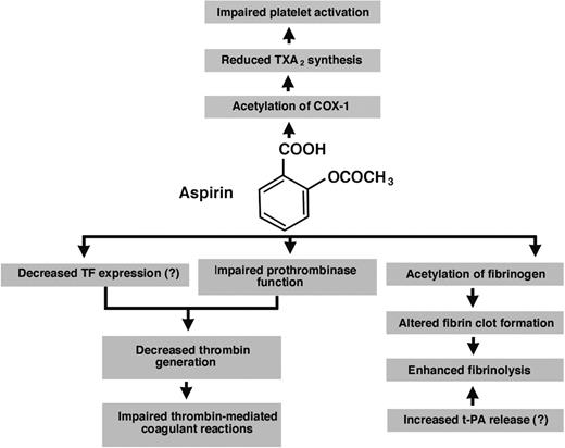 Figure 1. Antithrombotic effects of aspirin (acetylsalicylic acid) reported in the literature. The major well-documented antithrombotic action of aspirin is to acetylate cyclooxygenase-1 (COX-1) in platelets, leading to the inhibition of thromboxane A2 (TXA2) synthesis. Decreased production of this lipid platelet agonist impairs platelet aggregation. Additional effects of aspirin may include reduced thrombin formation and changes in the fibrin structure such as increased clot permeability. The former effect is probably due to impaired platelet function or possibly decreased tissue factor (TF) expression, whereas the latter effect is induced by acetylation of fibrinogen and can result in faster fibrin clot lysis. Another profibrinolytic effect of aspirin might be increased tissue-type plasminogen activator (t-PA) release from endothelial cells.
