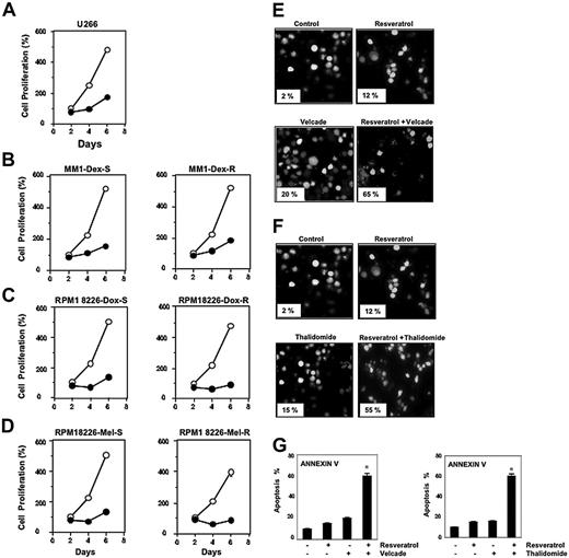 Figure 1. Resveratrol suppresses the proliferation of drug-resistant MM cell lines and potentiates the apoptotic effect of bortezomib and thalidomide. (A-D) U266 cells (5 × 103/100 μL; A), dexamethasone-sensitive (B, left) and dexamethasone-resistant (B, right) MM.1 cells (20 × 103/100 μL), doxorubicin-sensitive (C, left) and doxorubicin-resistant (C, right) RPMI 8266 cells (20 × 103/100 μL), and melphalan-sensitive (D, left) and melphalan-resistant (D, right) RPMI 8266 cells were plated in triplicate, treated with 50 μM resveratrol, and then subjected to MTT assay on days 2, 4, or 6 to analyze proliferation of cells. ○ represents control and • represents resveratrol-treated cells. Each point on line is an average of triplicate value. Resveratrol induced inhibition of cell growth at days 2 and 4 was statistically significant (P < .05). (E-F) U266 cells (1 × 106/mL) were treated with 25 μM resveratrol and 20 nM bortezomib (E) or 10 μg/mL thalidomide (F) alone or in combination for 24 hours at 37°C. Cells were stained with a live/dead assay reagent for 30 minutes and then analyzed under a fluorescence microscope as described in “Materials and methods.” Percentage of apoptosis is indicated in the inset. (G) U266 cells (1 × 106/mL) were treated with 25 μM resveratrol, 20 nM bortezomib (left), or 10 μg/mL thalidomide (right) alone or in combination for 24 hours at 37°C. Cells were incubated with anti–annexin V antibody conjugated with FITC and then analyzed with a flow cytometer for early apoptotic effects. The results shown are representative of 3 independent experiments. *Values significantly (P < .05) different than control as well as single agent. Error bars represent SD of triplicate values.