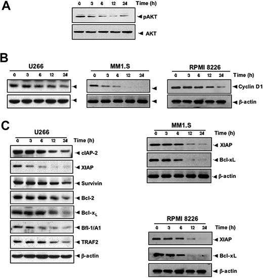 Figure 3. Resveratrol suppresses AKT activation and inhibits the expression of antiapoptotic proteins in MM cells. (A) U266 cells (2 × 106/mL) were treated with 50 μM resveratrol for the indicated times, and whole-cell extracts were prepared, separated on SDS-PAGE, and subjected to Western blotting with a phospho-AKT antibody. The same blot were stripped and reprobed with AKT antibody to show equal protein loading. (B) U266 cells (left)/MM1.S (middle)/RPMI 8826 (right) were treated with 50 μM resveratrol for the indicated times, and whole-cell extracts were prepared, separated on SDS-PAGE, and subjected to Western blot analysis using cyclin D1 antibody. The same blot was stripped and reprobed with β-actin antibody to verify equal protein loading. (C) U266/MM1.S/RPMI 8826 cells were treated as described in panel A, and whole-cell extracts were prepared, separated on SDS-PAGE, and subjected to Western blot using antibodies against indicated proteins. The same blots were stripped and reprobed with β-actin antibody to show equal protein loading. The results shown are representative of 3 independent experiments.