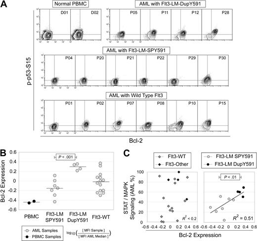 Figure 5. Identification of Y591 mutation of Flt3 in patients sharing a profile of p53 phosphorylation and Bcl-2 overexpression. (A) Phosphorylation of p53 at serine 15 and Bcl-2 expression were measured in PBMCs from healthy donors or in AML blast cells. Four samples with Flt3 mutations had duplication of Y591 (DupY591). Seven samples had Flt3 mutations that did not duplicate Y591 (SPY591; 6 representatives shown). The remaining samples displayed other Flt3 mutations or were considered wild type (6 representatives shown). (B) Bcl-2 expression, relative to the median in AML blast cells, is shown for normal PBMCs or AML patient samples with different Flt3 mutational status. Significantly greater Bcl-2 expression was observed in samples from AML patients with Flt3 LM that duplicated Y591 than in cells from patients with Flt3 LM that did not (DupY591 versus SPY591; P < .001). Wild-type Flt3 AML patient samples displayed a spread of Bcl-2 values centered at the median observed for all 30 AML samples (a value of 0 on the log10 scale). The median Bcl-2 expression for each group is marked with a black line. (C) A percentage of STAT and MAPK signaling we previously analyzed in this cohort of AML patients3 was plotted for each patient against the Bcl-2 expression in patients without (left plot) or with (right plot) a Flt3 LM. Among patients with a Flt3 LM, potentiated STAT and MAPK signaling was associated with Bcl-2 expression (r2 = 0.51). In contrast, significantly higher levels of aggressive signaling were observed in patients whose Flt3 mutation duplicated Y591, as compared to patients with other Flt3 LMs (P < .01).