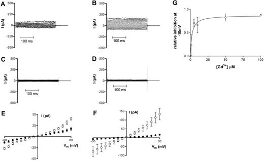 Figure 5. Representative recordings of whole-cell current measurements in HbS cells before and at least 3 minutes after Gd3+ addition (50 μM). (A,C,E) Oxygenated HbS cells. (B,D,F) Deoxygenated HbS cells. Data in panels A and B are from before Gd3+ addition; data in panels C and D are from at least 3 minutes after Gd3+ addition. All measurements were made using Na+-containing bath and pipette solutions. Corresponding averaged data are presented in panels E and F as means ± SEM, n = 5 (HbS oxygenated) and n = 5 (HbS deoxygenated). (G) The effect of Gd3+ on whole-cell conductance of deoxygenated HbS cells; dose-response curve. Relative conductance was determined at −10mV in the absence of Gd3+. Serial additions of Gd3+ were then made to the bath solution and, after each addition, a new stable value for whole-cell conductance was obtained. Data are presented as means ± SEM, n ≥ 2-5 for each concentration.