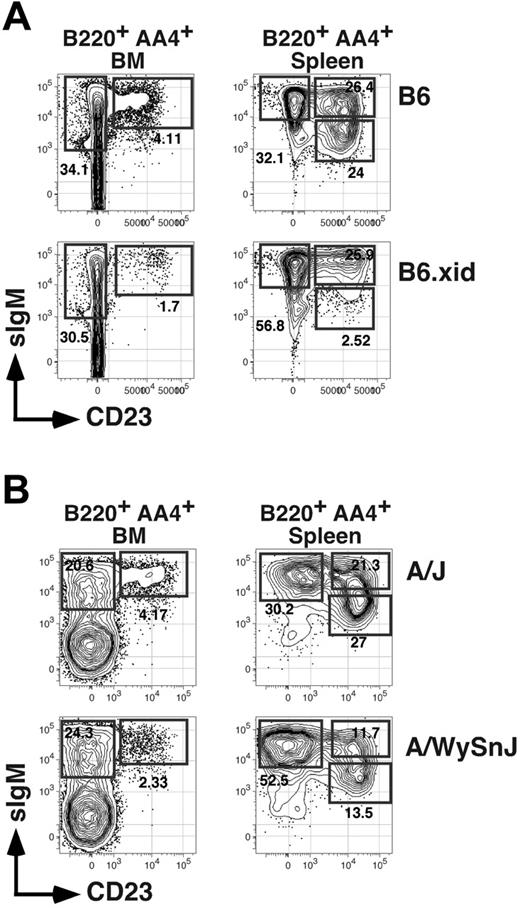 Figure 4. Impact of xid and BR-3 mutation on BM and splenic B-cell subsets. (A) Flow cytometric analysis of BM or spleen cells from an 8-week-old C57BL/6 (B6) or homozygous B6.xid female. Antibody combinations are as described for Figure 1. Data are representative of 4 separate experiments. (B) Separate analysis of 8-week-old A/J and A/WySnJ mice. Data are representative of 3 mice per group (Table 1).
