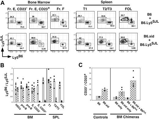 Figure 5. Diminished competitive fitness of developing xid B cells in the BM and spleen. BM chimeras were established via transplantation of a total of 2 × 106 B220-depleted BM cells into irradiated B6.Ly5SJL hosts. Eight weeks later BM and spleen cells were stained for expression of the indicated markers as illustrated in Figure 1A and allele-specific antibodies to Ly5. Donor BM cells were C57BL/6 (B6), B6.xid (both Ly5B6+), or wild-type B6.Ly5SJL (Ly5SJL+) and double chimeras were established by transferring BM cells from B6.Ly5SJL mice mixed an equal number of BM cells from either C57Bl/6 or B6.xid mice. (A) Representative flow cytometric plots from the indicated double BM chimeras. Gates for each population are as in Figure 1A. Fr E indicates sIgM+ AA4+ BM B cells. (B) Double BM chimeras were assessed for ratios of wild-type C57BL/6 (solid bars with black diamonds) versus B6.xid (hatched bars with white diamonds) BM or splenic B-cell frequencies within the indicated gate divided by the frequency of B6.Ly5SJL-derived (Ly5SJL+) cells in the identical gates. (C) Comparison of the ratios of CD23− to CD23+ immature B cells defined as B220+ AA4+ sIgM+ in normal B6 and B6.xid adults and the indicated single and double chimeras. Data are representative of 2 separate experiments.