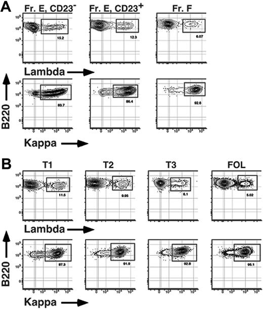 Figure 7. Selective loss of λ+ B cells during BM and peripheral B-cell maturation. BM (A) and spleen (B) cells from an 8-week-old C57BL/6 mouse were stained with FL-anti-IgM, BI-anti-CD23 (revealed with SA-PECy5.5), APC-anti-AA4, PE-Cy7-anti-B220, and either PE-anti-κ or PE-anti-λ (λ1 + λ2) before collection of 200 000 events on an LSR2 flow cytometer. Fr E indicates sIgM+ AA4+ BM B cells. Data are representative of 5 separate experiments.