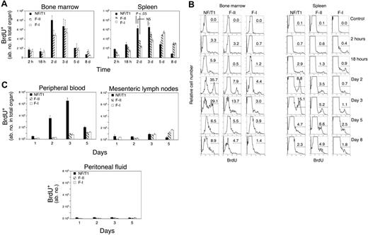 Figure 2. B-cell differentiation in the bone marrow and spleen revealed by pulse labeling with BrdU of the pro-B/pre-B population. (A) A contemporaneous and wavelike progression of BrdU-labeled B cells was observed in the bone marrow and spleen. (B) Representative flow cytometric histograms following BrdU labeling in splenic and bone marrow B-cell fractions at various time points. For the 2-day time point, n = 7 mice. All other time points include results from 4 mice. Error bars represent ± SEM. (C) BrdU+ NF/T1 B cells are readily observed in the peripheral blood (left panel) but minimally in lymph nodes (center) or the peritoneal cavity (right).
