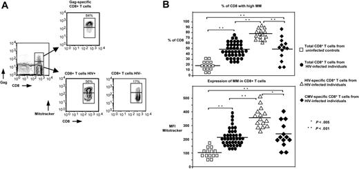 Figure 1. HIV-specific CD8+ T cells are selectively characterized by extensive MM. (A) Representative flow cytometry showing ex vivo MM in HIV-specific and total CD8+ T cells from 1 HIV+ patient and a healthy donor. Cells were gated first for lymphocytes by forward and side light scatter and then for HIV-specific and total CD8+ T cells by tetramer and CD8 staining. (B) Pooled data showing the percentage (%) of CD8+ T cells expressing high MM in total CD8+ T cells from healthy donors (□; n = 14), HIV+ patients (•; n = 40), and HIV-specific (▵; n = 15) and CMV-specific (♦) CD8+ T cells from HIV+ patients (n = 13) (top panel). Horizontal lines depict mean values. Analysis of corresponding MFI values of MitoTracker staining is also shown (bottom panel). The P values were calculated using Student t test.