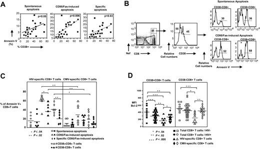 Figure 5. CD38 expression, although a correlate of apoptosis, does not explain on its own the selective apoptosis of HIV-specific CD8+ T cells. (A) The correlation between the percentage (%) of spontaneous, anti-CD95/Fas–induced, and treatment-specific CD8+ T-cell apoptosis and ex vivo percentages (%) of CD38+ cells (top left, middle, and right panels, respectively) in total CD8+ T cells from HIV+ patients (n = 21). (B) Representative flow cytometry showing HIV-specific and CD8+ T cells from an HIV+ patient. Histograms depict CD38 levels and annexin V positivity in HIV-specific CD8+ T cells after culturing PBMCs for 14 hours in the absence or presence of anti-CD95/Fas antibody. (C) Pooled data presenting annexin V positivity in CD38+ and CD38− HIV-specific (n = 6) and CMV-specific (n = 7) CD8+ T cells from HIV+ patients. Open symbols represent CD38+ whereas closed ones represent CD38−CD8+ T cells. (D) Pooled data showing the ex vivo MFI of Bcl-2 staining for CD38+ and CD38− HIV-specific (triangles; n = 8), CMV-specific (diamonds; n = 13), and total CD8+ T cells from HIV+ patients (circles; n = 30) and healthy donors (squares; n = 9). Horizontal lines depict mean values. The P values were calculated using Student t test.