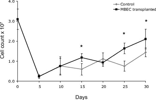 Figure 2. Mice that received transplants of MBECs demonstrate accelerated BM cellular recovery following total body irradiation. C57Bl6 mice were irradiated with 700 cGy total body irradiation and then observed without treatment or given transplants of 5 × 105 MBECs daily for 5 days. BM cells were collected from bilateral femurs from mice in each condition at day 0 and every 5 days through day +30, and mean viable mononuclear cell (MNC) counts were performed. Standard errors for each mean are shown as error bars. Mice that received transplants of MBECs demonstrated significantly increased numbers of viable MNCs at day +15, +25, and +30 compared with irradiated control mice. The * indicates a significant difference at each time point; P = .004, P = .001, P = .019, respectively.