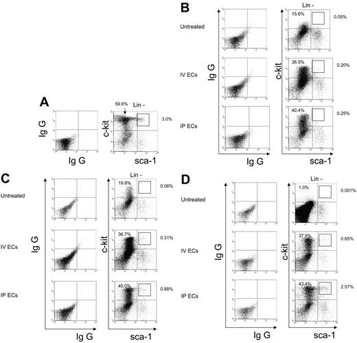 Figure 3. MBEC transplantation provides radioprotection of BM progenitors and augments the regeneration of stem cell–enriched populations. BM mononuclear cells were collected from mice on days +10, +15, and +20 following 700 cGy of total body irradiation. The percentages of c-Kit+sca-1−lin− progenitors and the more primitive KSL cells were measured by flow cytometry in the BM at each time point in normal mice (A), in 700 cGy-irradiated control mice, and in mice treated with MBECs by intravenous or via intraperitoneal administration for 5 days. As shown in panel B, control mice demonstrated marked reduction in viable c-kit+sca-1−lin− progenitors at day +10, whereas all animals treated with MBECs maintained significantly higher numbers of this population following radiation exposure. At days +15 (C) and day +20 (D), both groups of MBEC-treated animals demonstrated recovery of KSL cells compared with untreated controls. Percentages shown in the upper quadrants of each figure represent the percentage of that population within the lin− subset.