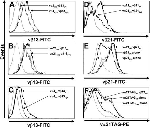 Figure 4. Increased surface expression of Cys-modified TCR chains is not unique to a single TCR αβ pair and requires presence of a corresponding cysteine on both chains. (A) Mock-transduced T cells (thin line) and T cells transduced with vα4wt and vβ13wt (dotted line) or vα4Cys and vβ13Cys TCR chains (dashed line) were stained with anti-vβ13–FITC antibody. (B) Mock-transduced T cells (thin line) and T cells transduced with vα21wt and vβ13wt (dotted line) or vα21Cys and vβ13Cys TCR chains (dashed line) were stained with anti-vβ13–FITC antibody. (C) Mock-transduced T cells (thin line) and T cells transduced with vα4wt and vβ13wt (thick line) or vα4wt and vβ13Cys TCR chains (dashed line) were stained with anti-vβ13–FITC antibody. (D) Mock-transduced T cells (thin line) and T cells transduced with vα21wt and vβ21wt (thick line) or vα21wt and vβ21Cys TCR chains (dashed line) were stained with anti-vβ21–FITC antibody. (E) Mock-transduced T cells (thin line) and T cells transduced with vα21wt and vβ21wt (thick line), vβ21wt TCR chain alone (dotted line), or vβ21Cys TCR chain alone (dashed line) were stained with anti-vβ21–FITC antibody. (F) Mock-transduced T cells (thin line) and T cells transduced with vα21TAGwt and vβ21wt (thick line), vα21TAGwt TCR chain alone (dotted line), or vα21TAGCys TCR chain alone (dashed line) were stained with anti-TAG–PE antibody. All results are representative of a least 3 independent experiments.
