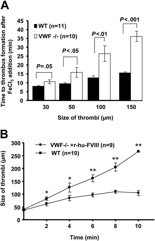 Figure 2. VWF is required for thrombus growth under venous shear conditions. (A) Time to platelet thrombus formation (30-150 μm in diameter) was measured. In the absence of VWF, the thrombi growth was impaired. The time to form the first 150-μm thrombus in VWF−/− venules was nearly twice that in WT. (B) Rate of individual thrombus growth was determined in the VWF−/− mice infused with r-hu-FVIII and compared with WT. Time 0 was considered when thrombus reached approximately 40 μm in size and thrombi were followed for 10 minutes. In VWF−/− mice infused with r-hu-FVIII the thrombus grew significantly more slowly than in WT (*P < .05, **P < .001). Error bars indicate SEM.