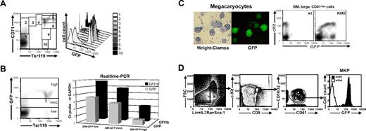 Figure 3. Gfi1b:GFP expression during erythroid development in bone marrow and cultured megakaryocytes. (A) Living cells from bone marrow of Gfi1b+/GFP mice were stained with CD71-PE and Ter119-APC and subjected to FACS analysis (left). Cells were gated for different developmental stages, and GFP expression of these cells is shown in a histogram (right). (B) Living cells from bone marrow of Gfi1b+/GFP mice were stained with Ter119-APC and sorted for low, medium, or high GFP expression (left). Transcripts from the Gfi1b allele (▪) and the GFP allele (⊡) were quantatized by real-time PCR. Shown are the Δct values where the Gfi1b or GFP transcripts become detectable relative to the transcripts of the glyceraldehyde-3-phosphate dehydrogenase gene on the same threshold line. (C) Megakaryocytes were generated from bone marrow of Gfi1b+/GFP mice by cultivation in DMEM in the presence of 10 ng/mL thrombopoietin (TPO) and 10 ng/mL IL3 for 5 days. Cytospins were prepared from nonadherent cells, and GFP expression was detected by fluorescence microscopy (right). Afterward, cells were stained according to the Wright-Giemsa protocol and photographed using visible light (left). (Rightmost) Flow cytometric analysis of c-Kit expression and GFP fluorescence in bone marrow–derived, large CD41-expressing cells. Cells were analyzed using a Leica DM IRB fluorescence microscope with an L 20×/0.4 NA Corr PH1 objective lens and photographed using a Nikon Coolpix 990 digital camera (Nikon, Düsseldorf, Germany) and LM-scope Adapter (Micro Tech Lab Rudnicki KEG, Graz, Austria). (D) Flow cytometric analysis of bone marrow cells after depletion of Lin+IL7Rα+Sca-1+ cells. Gatings for highly pure megakaryocyte progenitor population and expression of green fluorescense among these cells are shown. The data shown is representative of 3 similar data obtained from individual experiments.