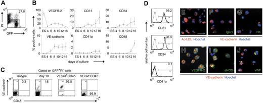 Figure 1. ESC-derived VE-cadherin+CD45− cells have endothelial properties. Undifferentiated GFP-transfected ESCs (ES) and subsequent differentiating cells were analyzed by FACS. GFP+PI− cells were gated as ESC-derived viable cells. (A) Percentage of gated cells among the total cells is specified. (B) Sequential analysis of the percentage of cells positive for each antigen among ESC-derived viable cells. Data are presented as mean ± SD of 3 independent experiments. (C) VE-cadherin+CD45−(VEcad+CD45−) or VE-cadherin−CD45−(VEcad−CD45−) cells were sorted on day 10. Representative FACS dot plots and percentages of gated cells are shown. Purities of viable VE-cadherin+CD45− and VE-cadherin−CD45− cells are 99.2% ± 0.6% and 99.9% ± 0.1%, respectively, from at least 3 independent experiments. (D) VE-cadherin+ cells on day 10 were analyzed by FACS with various mAbs. Percentages of cells positive for each antigen among VE-cadherin+ cells are shown. Gray line indicates isotype control; black line, VE-cadherin+ cells. (E-J) Untransfected ESC-derived VE-cadherin+CD45− cells sorted on day 10 were evaluated by the DiI-Ac-LDL incorporation assay (E) or immunostaining with IgG1 (F), anti–Hb (G), VEGFR-2 (H), eNOS (I), or VWF (J) Abs. Hoechst 33342 (E-J) and anti–VE-cadherin mAb (F-J) were used to detect nuclei and endothelial cells, respectively. Original magnification × 200. Scale bar, 50μm.
