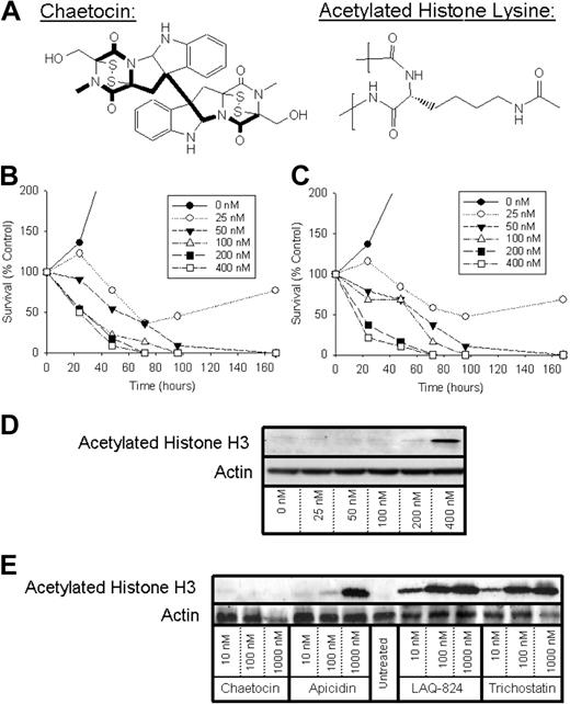 Figure 1. Chaetocin bears chemical structural similarity to the acetylated histone lysine moiety mimicked by many histone deacetylase inhibitors (HDACIs) and has antimyeloma activity in vitro yet does not appreciably alter levels of acetylated histone H3 in myeloma cells. (A) The chemical structure of chaetocin, indicating similarities to the acetylated histone lysine moiety. (B-C) Effects of chaetocin (24-hour drug exposures) on survival (assessed by trypan blue exclusion) of KAS-6 IL-6–dependent myeloma cells (B) or OCI-MY5 IL-6–independent myeloma cells (C) in vitro. Displayed results are representative of 3 independent experiments. (D) Effects of chaetocin on the cellular levels of acetylated histone H3 in A549 human non–small-cell lung cancer cells. (E) Effects of chaetocin or the known HDACIs aphidicolin, LAQ 824, or trichostatin A on the cellular levels of acetylated histone H3 in U266 human myeloma cells. (D-E) Levels of acetylated histone H3 and actin were assessed using immunoblotting of whole-cell lysates (50 μg total cellular proteins loaded per lane, 24-hour drug exposures).