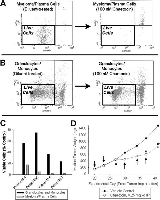 Figure 4. Patient myeloma cells treated in whole bone marrow cell–mixed culture are selectively killed by chaetocin in comparison to other bone marrow leukocytes, and chaetocin has in vivo antimyeloma activity. (A-C) Unsorted bone marrow leukocytes obtained from 4 patients with multiple myeloma were treated with 100 nM chaetocin or diluent for 24 hours and subjected to FACS analyses examining cell death in various leukocyte subpopulations. Myeloma cells were readily killed by chaetocin (A; representative data shown), and combined granulocytes and monocytes (B; representative data shown) were relatively spared. Results from 4 unsorted patient marrow leukocyte samples are indicated in panel C, with surviving cells defined as those with low annexin and 7-AAD staining. (D) Chaetocin has in vivo antimyeloma activity in established RRMI 8226 SCID flank xenograft mouse tumors. Arrows indicate times of intraperitoneal chaetocin administration, whereas * indicates statistically significant differences from corresponding vehicle control values (P < .05). The control group consisted of 10 animals, and treatment groups consisted of 6 animals each.