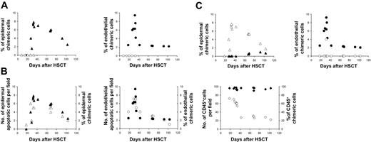 Figure 2. Chimerism studies in skin biopsy. (A) Percentage of epidermal and endothelial chimeric cells in patients with or without GvHD; (▴) epidermal chimeric cells in patients with GVHD, (▵) epidermal chimeric cells in patients without GVHD, (•) endothelial chimeric cells in patients with GVHD, (○) endothelial chimeric cells in patients without GVHD. (B) Relation between apoptotic and chimeric cell numbers in epidermis, endothelium, and inflammatory infiltrate in early and late biopsies of patients with GvHD; (▵) epidermal apoptotic cells, (▴) epidermal chimeric cells,(○) endothelial apoptotic cells, (•) endothelial chimeric cells, (⋄) CD45+ cell, (♦) CD45+ chimeric cells. (C) Distribution patterns of epidermal and endothelial chimeric cells in skin biopsies of patients with GvHD; (▴) epidermal chimeric cells in superficial layers, (▵) epidermal chimeric cells in basal layers, (○) endothelial chimeric cells in upper dermis, (•) endothelial chimeric cells in deep dermis.