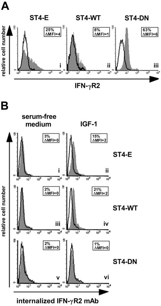 Figure 2. IGF-1R blockade up-regulates IFN-γR2 surface expression. (A) Flow cytometric analysis of IFN-γR2 surface expression in ST4-E (i), ST4-WT (ii), and ST4-DN (iii) cells maintained in complete medium. Expression of IFN-γR2 (gray histograms) and the background of mouse IgG1 negative control (open histograms) are shown for 1 representative experiment of 3 independently performed. (B) IGF-1-induced IFN-γR2 internalization was evaluated by flow cytometry. ST4-E (i-ii), ST4-WT (iii-iv), and ST4-DN (v-vi) cells, cultured for 24 hours in serum-free medium to eliminate the IGF-1 present in serum, were incubated with or without IGF-1 (100 ng/mL) and with unconjugated anti–IFN-γR2 mAb or with an isotype-matched mAb at 37°C. After 1 hour, cell surface–associated mAb was removed, and cells were permeabilized and stained with PE-conjugated rabbit anti–mouse Ig. Mean specific internalized fluorescence was calculated by subtracting the mean internalized fluorescence obtained with isotype-matched control Ig from that detected with the anti–IFN-γR2 mAb.
