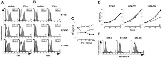 Figure 4. IGF-1R blockade reinstates the IFN-γ/STAT1 apoptotic pathway. Flow cytometric analysis of (A) Fas and (B) FasL surface expression on ST4-E (i-ii), ST4-WT (iii-iv), and ST4-DN (v-vi) cultured for 24 hours in complete medium with or without IFN-γ. Expression of Fas or FasL (gray histograms) and the background of mouse IgG1 negative control (open histograms) are shown for 1 representative experiment out of 3 independently performed. Boxed results show the percentage of positive cells and the mean specific fluorescence. (C) ST4-E (○), ST4-WT (□), and ST4-DN (▪) cells were cultured in complete medium with different doses of IFN-γ. After 72 hours, cells were harvested, stained with trypan blue and counted. (D) ST4-E (i), ST4-WT (ii), and ST4-DN (iii) cells were cultured in the presence of complete medium (▴), IFN-γ (▵), a blocking anti-Fas mAb (1 μg/mL) (▾), and IFN-γ plus blocking anti-Fas mAb (▿), and the kinetics of their growth was evaluated. (E) ST4-E (i), ST4-WT (ii), and ST4-DN (iii) cells were cultured in complete medium in the presence (gray histogram) or absence (open histogram) of IFN-γ. After 48 hours, cells were recovered, stained with PE-conjugated annexin-V, and analyzed by flow cytometry. All experiments were performed independently at least 3 times.