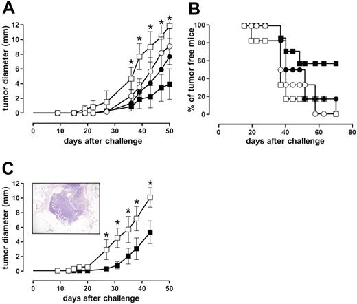 Figure 5. IGF-1R blockade reinstates IFN-γ–driven inhibition of ST4 cell growth in SCID mice. (A-B) Anti-asialo GM1-treated SCID mice were challenged subcutaneously with 10 × 106 ST4-WT (○, •) or ST4-DN (□, ▪) cells. After 2 hours, mice were injected at the site of tumor challenge with 0.4 mL vehicle solution (○, □) or 1000 U IFN-γ (•, ▪). This treatment was repeated daily for 5 days, and neoplastic masses were evaluated twice a week with calipers. Results are indicated (A) as the kinetics of the mean ± SD of the tumor diameter and (B) as percentage of tumor-free mice. (C) SCID mice were challenged with 10 × 106 ST4-DN cells as described. After 10 days, 3 mice were killed and tumor sample sections were evaluated by histologic analysis. Samples were collected, formalin fixed, and embedded in paraffin. Sections were rehydrated and stained with hematoxylin-eosin and examined under a microscope. The picture was taken with a B×51 Olympus microscope (Olympus, Hamburg, Germany) equipped with a 4×/0.10 NA Plan objective and a Nikon Coolpix 995 digital camera (Nikon, Melville, NY). The image was processed with Adobe Photoshop 7.0 software (Adobe Systems, San Jose, CA) (inset). The remaining mice were treated with vehicle (□) or IFN-γ (▪) daily for 10 days, starting from day 10 after the inoculum. The graph represents the kinetics of the mean ± SD of the tumor diameter, evaluated as described. Each group consisted of 6 mice, except the ST4-DN–challenged and IFN-γ–treated group (7 mice). *P < .05, IFN-γ–treated versus vehicle-treated ST4-DN–challenged mice.