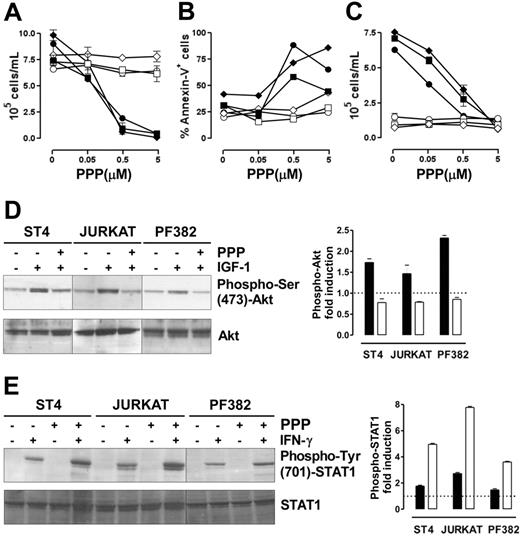 Figure 6. The combined administration of PPP and IFN-γ blocks malignant T-cell growth. (A-B) ST4 (○, •), PF382 (⋄, ♦) and Jurkat (□, ▪) T cells were cultured in complete medium with scalar doses of PPP in the absence (white symbols) or presence (black symbols) of IFN-γ. After 48 hours, cells were harvested and (A) stained with trypan blue and counted or (B) stained with PE-conjugated annexin-V and analyzed by flow cytometry. (C) To verify that the doses of PPP used were effective in inhibiting IGF-1 signaling, ST4 (○, •), PF382 (⋄, ♦) and Jurkat (□, ▪) cells were cultured for 48 hours with PPP (from 0 to 5 μM) in serum-free medium with (black symbols) or without (white symbols) IGF-1 (100 ng/mL), then cells were harvested and counted. All the experiments were performed independently at least 3 times. (D) ST4, Jurkat, and PF382 T cells were preincubated with or without PPP (1 μM) for 6 hours before stimulation with or without IGF-1 for 15 minutes. Akt activation was evaluated by Western blot analysis of protein cell extracts with anti–phospho-Ser (473)-Akt Ab. Membranes were subsequently probed with an anti-Akt Ab. Phospho-Akt fold induction in cells treated with IGF-1 (▪) or IGF-1 + PPP (□), shown as means of fold induction ± SEM from 3 independent experiments, was quantified after normalization to Akt. (E) ST4, Jurkat, and PF382 T cells were treated with or without PPP (1 μM) for 6 hours and then stimulated with or without IFN-γ for 15 minutes. STAT1 activation was evaluated by Western blot analysis with anti–phospho-Tyr (701)-STAT1 Ab. Phospho-STAT1 fold induction in cells treated with IFN-γ (▪) or IFN-γ + PPP (□), shown as means of fold induction ± SEM from 3 experiments, was measured after normalization to total STAT1.