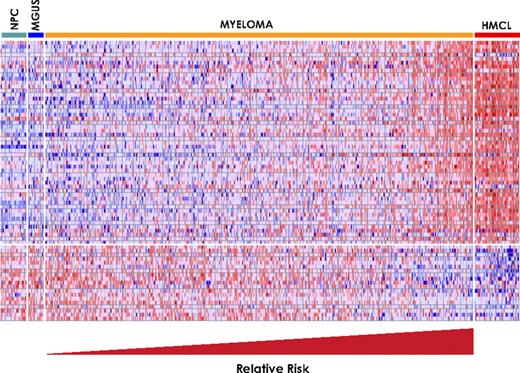 Figure 2. Gene expression clustergram of 70 high-risk genes in plasma cells from 22 healthy subjects (NPC), 14 subjects with MGUS, 351 patients with newly diagnosed MM, and 42 human MM cell lines (HMCL). Each row represents a gene and each column represents a sample. The genes are ordered from top to bottom based on the rank in Table 1. Red color for a gene indicates expression above the median and blue color indicates expression below the median. Samples within myeloma risk groups were ordered so that the predicted risk increases continuously from left to right.
