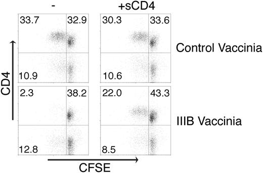 Figure 2. DCs expressing Env and presenting antigen suppress CD4+ T-cell proliferation. DCs were infected with vaccinia virus encoding IIIB Env or control vaccinia encoding T7 polymerase and cocultured with CFSE-labeled PBMCs with 0.1 ng/mL TSST-1 and with or without sCD4. This concentration of superantigen requires presentation by DCs as no proliferation is observed in their absence. Proliferation of CD4+ T cells was measured 5 days later by flow cytometry. Quadrants are labeled with the percent of events in each. Experiments shown are representative of 3 independent experiments.