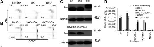 Figure 5. Functional Envs lacking CD4 binding do not suppress antigen-induced CD4+ T-cell proliferation. 293T cells were transfected with 8X or 8XD Env-encoding mRNA; (A) 8XV3Bal or (B) 8XDV3Bal Env-encoding mRNA, and control poly(AC) RNA and cocultured with CFSE-labeled PBMCs. CD4+ T cells were activated with 0.1 μg/mL TSST-1, and proliferation was measured 4 days later using flow cytometry. P values were .01 (A) and less than .005 (B) for comparison to sCD4 treatment. P values were less than .005 in comparing 8XD and 8XDV3Bal with no Env control. Quadrants are labeled with the percent of events in each. (C) Expression of Env protein by mRNA-transfected 293T cells was confirmed by Western blot analysis. (D) Surface expression of functional Env on mRNA-transfected 293T cells was determined using fusion assays. Error bars represent the standard error of the mean. Experiments shown are representative of 3 independent experiments.
