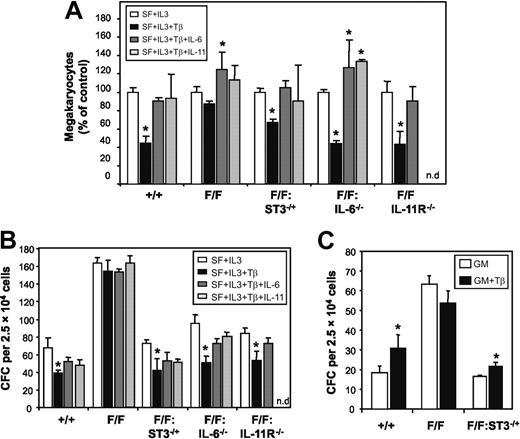 Figure 2. STAT3 hyperactivation suppresses TGF-β activity on hematopoietic progenitor cells in gp130Y757F/Y757F bone marrow. (A) Liquid cultures of bone marrow-derived megakaryocytes were grown in serum-free media containing either IL-6 or IL-11 (100 ng/mL) in the presence of TGF-β1 (10 ng/mL) for 4 days. Cell cultures were cytocentrifuged and megakaryocytes scored by staining for acetylcholinesterase activity. (B-C) In vitro colony formation of bone marrow cells in semisolid agar cultures containing (B) SCF (50 ng/mL), IL-3 (10 ng/mL), TGF-β1 (10 ng/mL), IL-6 (100 ng/mL), and IL-11 (100 ng/mL), and (C) GM-CSF (10 ng/mL) and TGF-β1 (10 ng/mL). Data from 4 to 6 mice of each genotype are expressed as the mean ± SD. *P < .05 versus data from cultures within each genotype without TGF-β1.