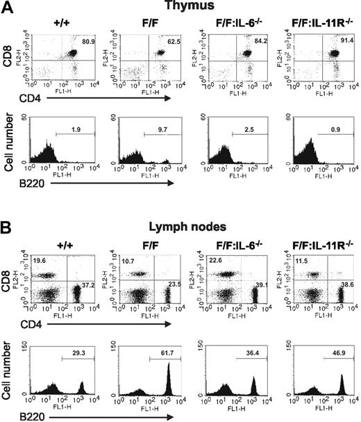 Figure 4. Flow cytometric analysis of the cellular distribution in thymus and lymph nodes of gp130Y757F/Y757F mice lacking either IL-6 or IL-11Rα. (A) Thymocytes and (B) lymph node cells were subjected to dual-color flow cytometric analysis with the indicated antibodies. For dot plots, x-axis represents FITC intensity, and y-axis represents PE intensity, and numbers indicate the percent of positive cells in each quadrant. For histograms, x-axis represents either FITC or PE intensity, and y-axis represents relative cell number. The numbers indicate the percent of positive cells in the marked regions. These flow cytometric profiles are representative of at least 3 mice of each genotype.