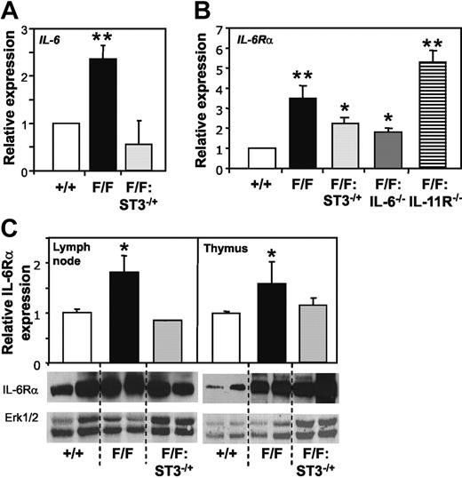 Figure 6. Increased expression of IL-6 and IL-6Rα in gp130Y757F/Y757F mice correlates with STAT3 hyperactivation. Q-PCR analyses of (A) IL-6 and (B) IL-6Rα gene expression was performed on cDNA derived from total RNA prepared from thymocytes. Expression data from 3 samples per genotype are shown following normalization for 18S expression and are presented from replicate analysis as the mean fold induction ± SD relative to expression in gp130+/+ samples. (C) Immunoblot analysis of IL-6Rα levels in lysates prepared from lymph node and thymus tissue. Densitometric quantitation of IL-6Rα in each of 2 representative samples per genotype was performed and normalized against ERK1/2, and data are presented as the mean fold induction ± SD relative to expression in gp130+/+ samples. **P < .001 and *P < .05 versus expression in gp130+/+ samples.