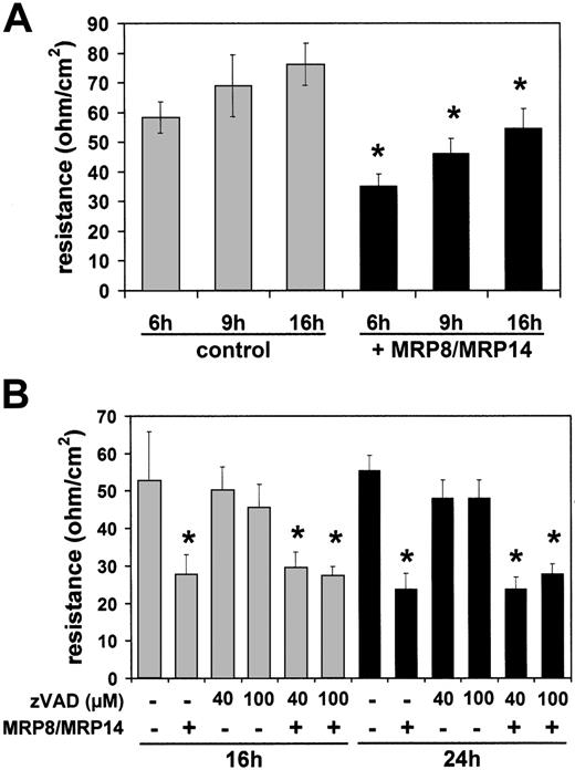 Figure 4. Effects of MRP8/MRP14 on the endothelial integrity. (A) HMEC monolayers were left untreated (⊡) or treated with 200 μg/mL MRP8/MRP14 (▪). After the indicated time periods, TER was determined as described in “Materials and methods.” (B) HMEC monolayers were left untreated or treated for 16 hours (⊡) and 24 hours (▪) with 200 μg/mL MRP8/MRP14 in the presence of the caspase inhibitor zVAD-fmk (40 μM and 100 μM) and analyzed for TER. *Significant decrease of the TER by following MRP8/MRP14 treatment (P < .05). Error bars indicate standard deviations in 3 independent experiments.